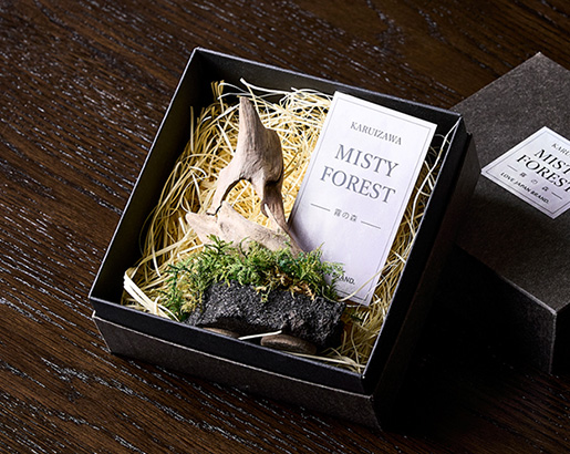 art moss object / 浅間石を使った枯れない苔のオブジェづくり