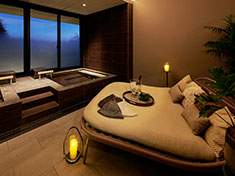 デイユースプラン（日帰り利用）